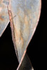 Ime datoteke: DSC_0376~0.jpg
Velikost datoteke: 191kB
Dimenzija: 533x800
Datum objave: 27. februar 2017 DSC_0376~0.jpg