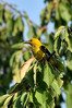 Ime datoteke: DSC_0388~0.jpg
Velikost datoteke: 307kB
Dimenzija: 533x800
Datum objave: 7. avgust 2019 DSC_0388~0.jpg