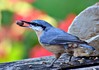 Ime datoteke: DSC_0127xNpb~0.jpg
Velikost datoteke: 205kB
Dimenzija: 800x565
Datum objave: 11. december 2016 DSC_0127xNpb~0.jpg