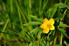 Ime datoteke: DSC_0225xNpb~0.jpg
Velikost datoteke: 194kB
Dimenzija: 800x533
Datum objave: 12. april 2015 DSC_0225xNpb~0.jpg