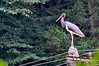 Ime datoteke: DSC_0450xNpb~0.jpg
Velikost datoteke: 277kB
Dimenzija: 800x533
Datum objave: 21. september 2015 DSC_0450xNpb~0.jpg