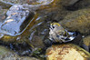 Ime datoteke: DSC_4096x09032017Na~0.jpg
Velikost datoteke: 271kB
Dimenzija: 1200x800
Datum objave: 5. april 2017 DSC_4096x09032017Na~0.jpg
