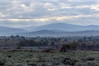 Ime datoteke: 2~5.jpg
Velikost datoteke: 308kB
Dimenzija: 1013x675
Datum objave: 16. november 2020 2~5.jpg