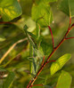 Ime datoteke: Untitled_Panorama1~3.jpg
Velikost datoteke: 303kB
Dimenzija: 881x1050
Datum objave: 28. december 2017 Untitled_Panorama1~3.jpg