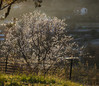 Ime datoteke: Untitled_Panorama1~4.jpg
Velikost datoteke: 317kB
Dimenzija: 920x800
Datum objave: 25. januar 2018 Untitled_Panorama1~4.jpg