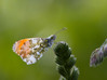 Ime datoteke: Zorica~1.jpg
Velikost datoteke: 308kB
Dimenzija: 975x731
Datum objave: 8. maj 2015 Zorica~1.jpg