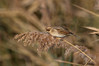 Ime datoteke: IMG_7079~0.jpg
Velikost datoteke: 281kB
Dimenzija: 900x600
Datum objave: 2. december 2019 IMG_7079~0.jpg