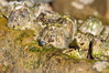Ime datoteke: obala~4.jpg
Velikost datoteke: 217kB
Dimenzija: 800x533
Datum objave: 24. marec 2013 obala~4.jpg