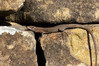 Ime datoteke: plaz.~0.jpg
Velikost datoteke: 292kB
Dimenzija: 800x533
Datum objave: 8. april 2013 plaz.~0.jpg