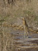Ime datoteke: poned.~0.jpg
Velikost datoteke: 185kB
Dimenzija: 600x800
Datum objave: 25. februar 2013 poned.~0.jpg
