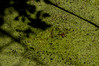 Ime datoteke: zatok (2)~3.jpg
Velikost datoteke: 284kB
Dimenzija: 800x532
Datum objave: 29. avgust 2014 zatok (2)~3.jpg