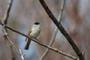 Ime datoteke: zatok~5.jpg
Velikost datoteke: 219kB
Dimenzija: 800x533
Datum objave: 11. april 2013 zatok~5.jpg