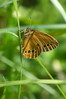 Ime datoteke: DSC_6188_resize-1~0.jpg
Velikost datoteke: 125kB
Dimenzija: 531x800
Datum objave: 23. junij 2016 DSC_6188_resize-1~0.jpg