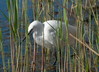 Ime datoteke: DSC_9244_resize~0.jpg
Velikost datoteke: 277kB
Dimenzija: 1000x725
Datum objave: 28. april 2017 DSC_9244_resize~0.jpg