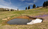 Ime datoteke: DSC_0151~0.JPG
Velikost datoteke: 225kB
Dimenzija: 600x356
Datum objave: 19. april 2014 DSC_0151~0.JPG