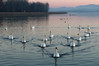 Ime datoteke: jezero~0.JPG
Velikost datoteke: 212kB
Dimenzija: 900x601
Datum objave: 3. januar 2016 jezero~0.JPG