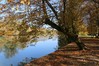 Ime datoteke: krka~0.JPG
Velikost datoteke: 236kB
Dimenzija: 900x600
Datum objave: 1. november 2015 krka~0.JPG