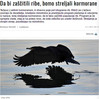 Ime datoteke: Untitled-1~1.jpg
Velikost datoteke: 312kB
Dimenzija: 1090x1095
Datum objave: 6. maj 2017 Untitled-1~1.jpg