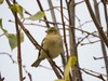 Ime datoteke: IMG_7669~0.jpg
Velikost datoteke: 177kB
Dimenzija: 1133x850
Datum objave: 26. november 2017 IMG_7669~0.jpg