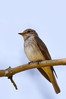 Ime datoteke: DSC_0023m~0.JPG
Velikost datoteke: 262kB
Dimenzija: 567x850
Datum objave: 27. junij 2020 DSC_0023m~0.JPG