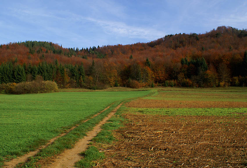 Klikni za ogled večje slike