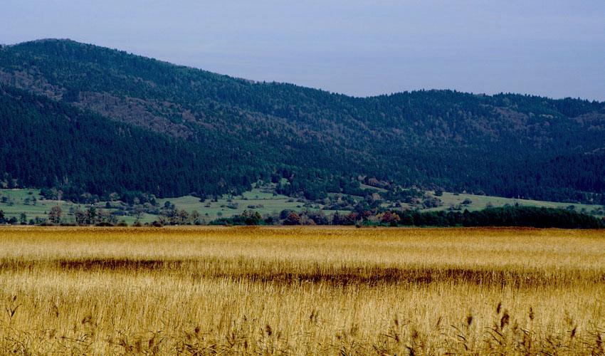 Klikni za ogled večje slike