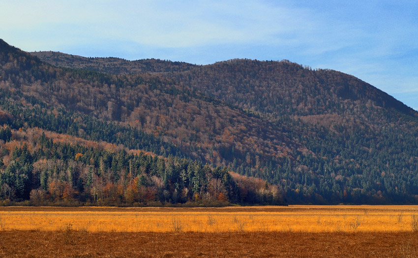 Klikni za ogled večje slike