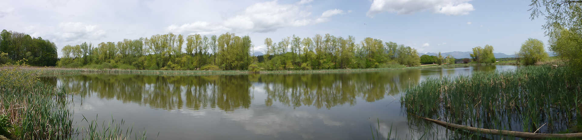 Klikni za ogled večje slike
