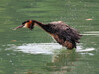 CP2_3576.jpg