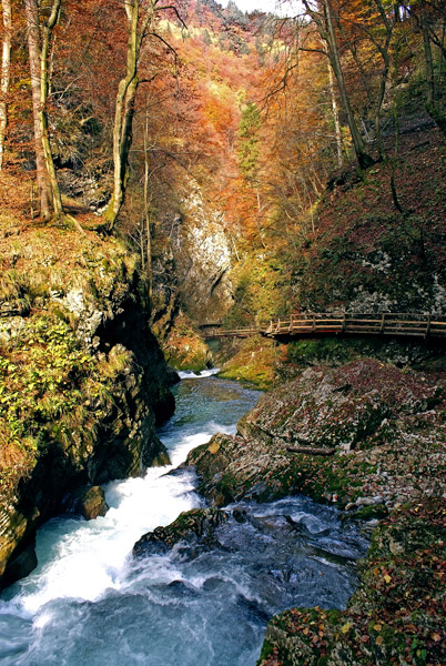 Klikni za ogled večje slike