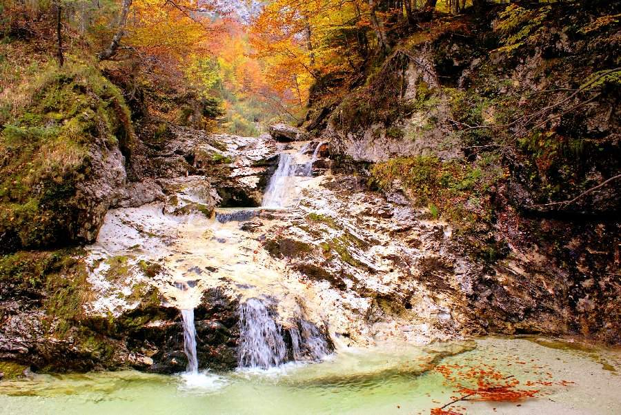 Klikni za ogled večje slike