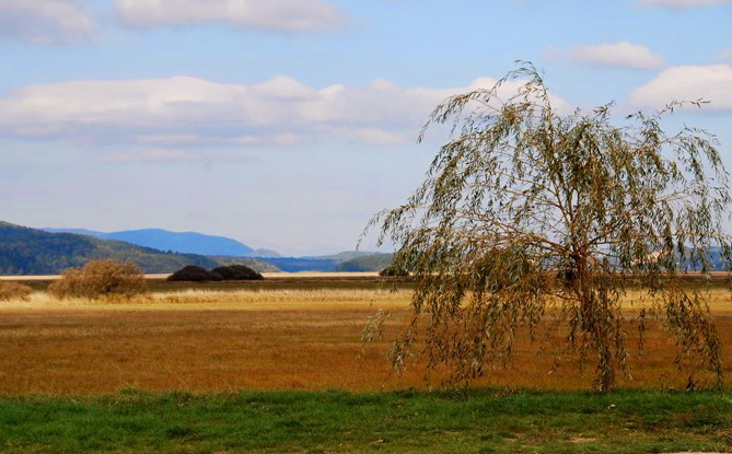 Klikni za ogled večje slike