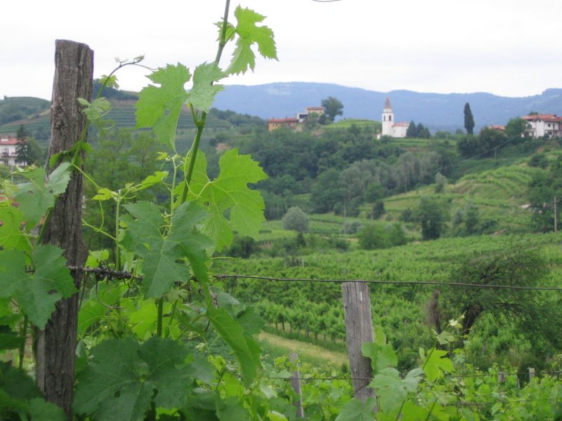 Klikni za ogled večje slike