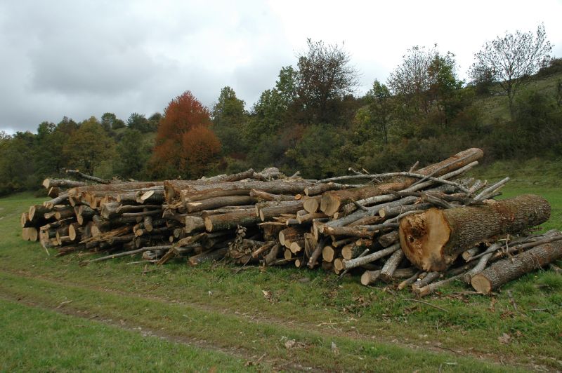 Klikni za ogled večje slike