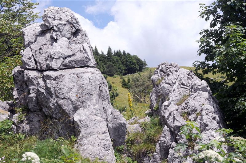 Klikni za ogled večje slike