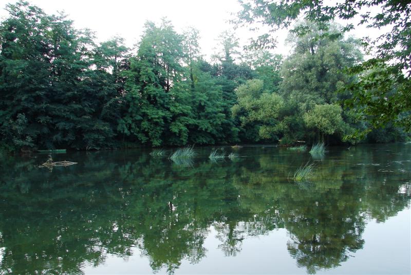 Klikni za ogled večje slike