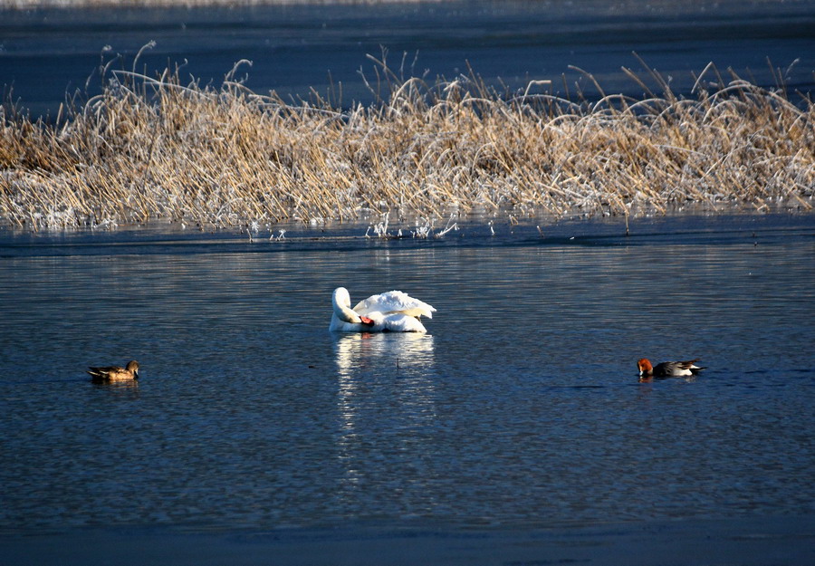 Klikni za ogled večje slike