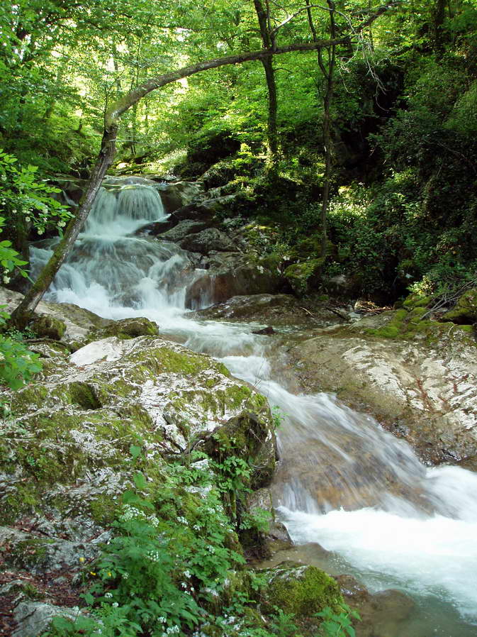 Klikni za ogled večje slike