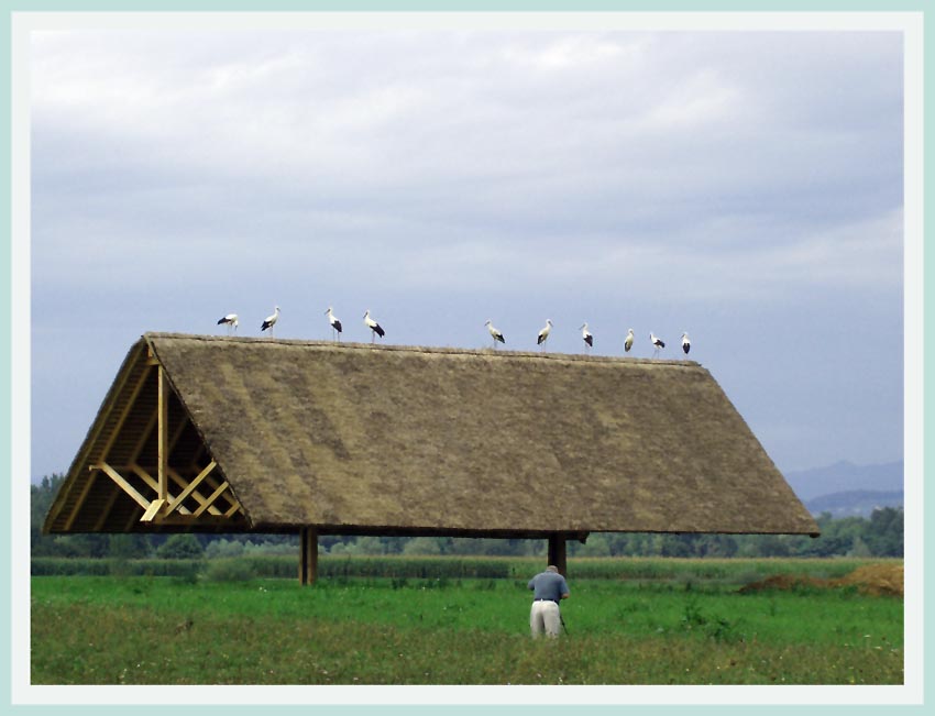 Klikni za ogled večje slike