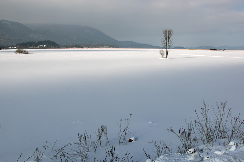 Klikni za ogled večje slike