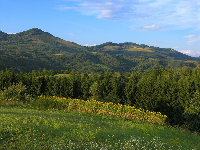 Klikni za ogled večje slike