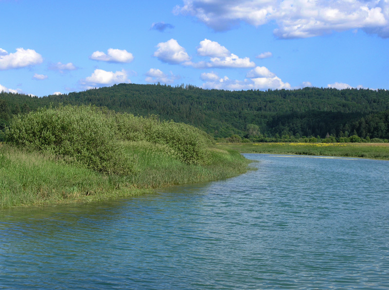 Klikni za ogled večje slike