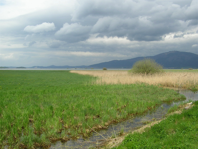 Klikni za ogled večje slike