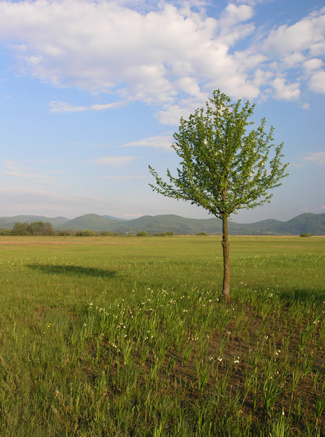 Klikni za ogled večje slike