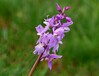P1201255a.jpg