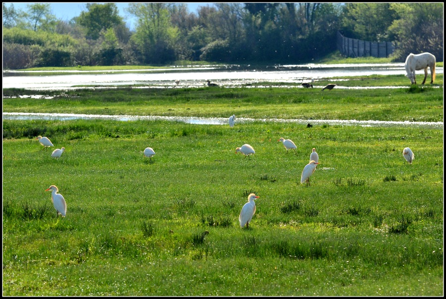 Klikni za ogled večje slike