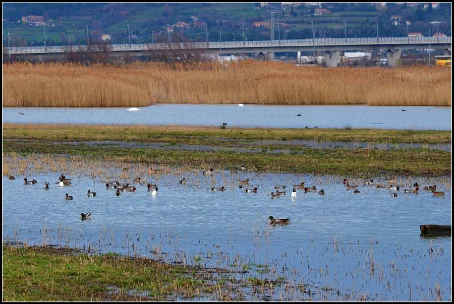 Klikni za ogled večje slike