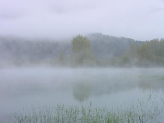 Klikni za ogled večje slike