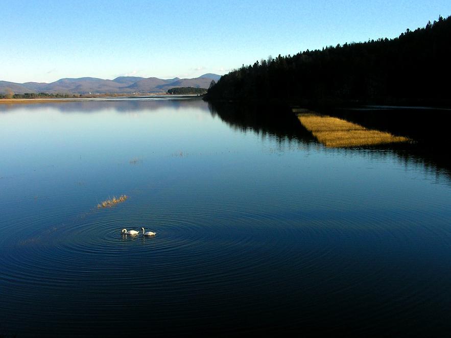 Klikni za ogled večje slike