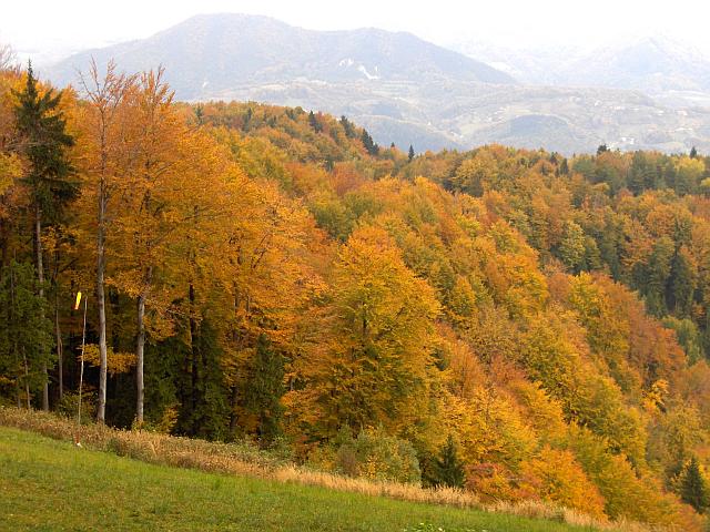 Klikni za ogled večje slike